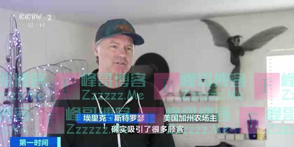 美国流行“租母鸡”！租赁套餐“月租”超千元！都包含啥？