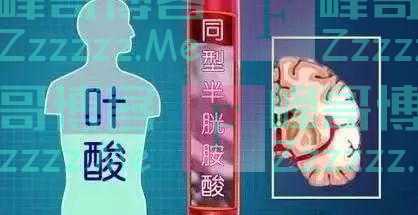 一半以上的老年人都缺这些营养素!饮食这样吃,补足营养身体好,老了不发愁