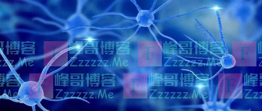 一半以上的老年人都缺这些营养素!饮食这样吃,补足营养身体好,老了不发愁