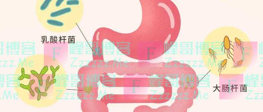 一半以上的老年人都缺这些营养素!饮食这样吃,补足营养身体好,老了不发愁