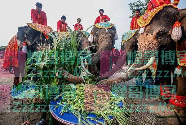 曾经穷游的泰国如今高攀不起？浙江游客这样说