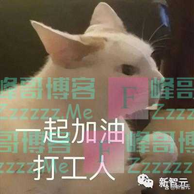 微软深夜放炸弹！GPT-4 Office全家桶发布，10亿打工人被革命