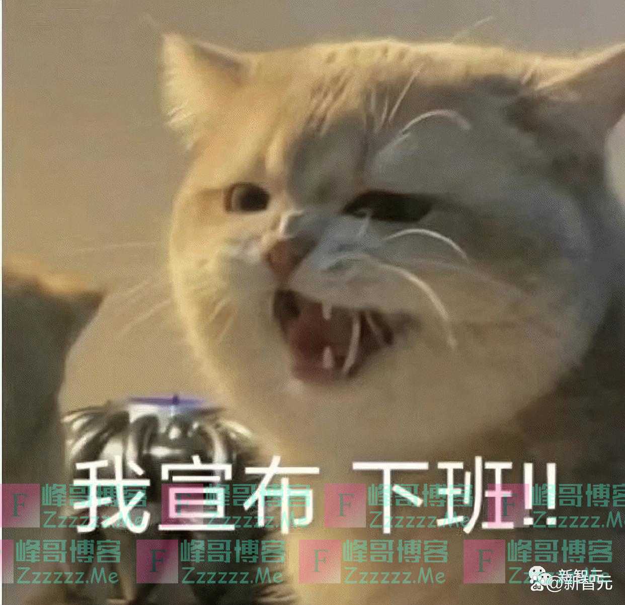 微软深夜放炸弹！GPT-4 Office全家桶发布，10亿打工人被革命