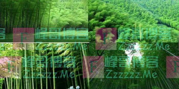 第一次评估2.64亿元，第二次评估842万元——云南“竹博园”拆迁补偿争议