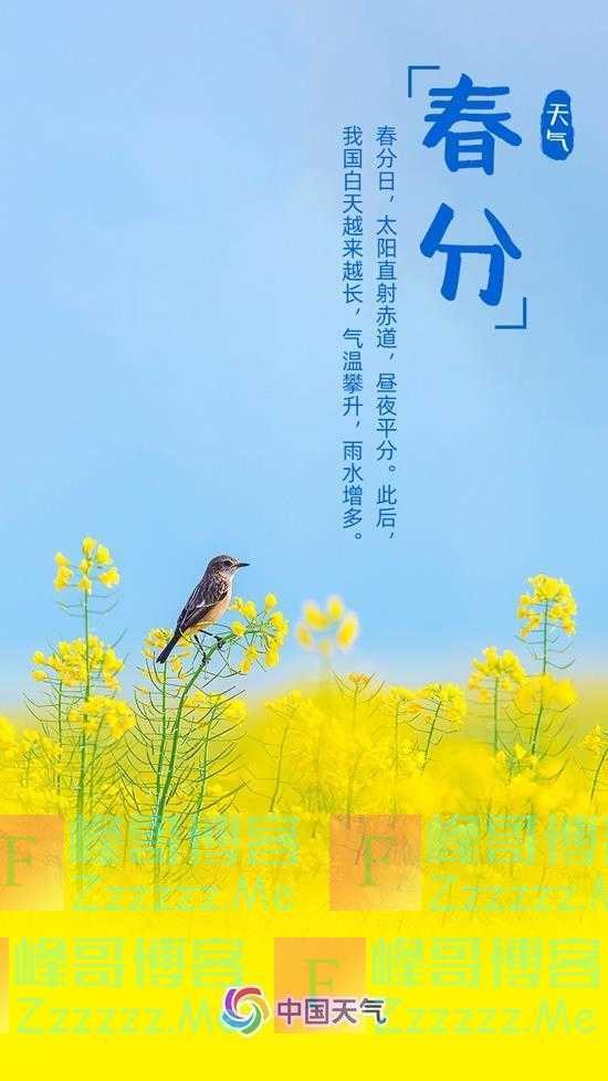 春分至 全国春日地图来了!一起看春天到哪了→