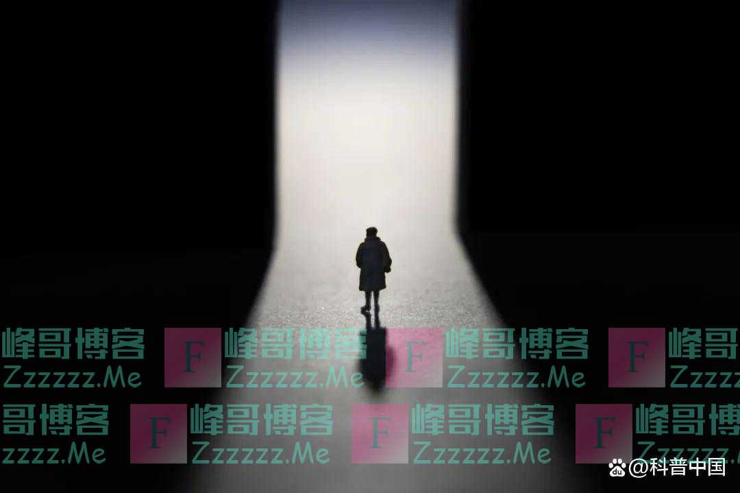 每天吃点“它”，补脑、护眼又护肤！只需2步，就能做到！