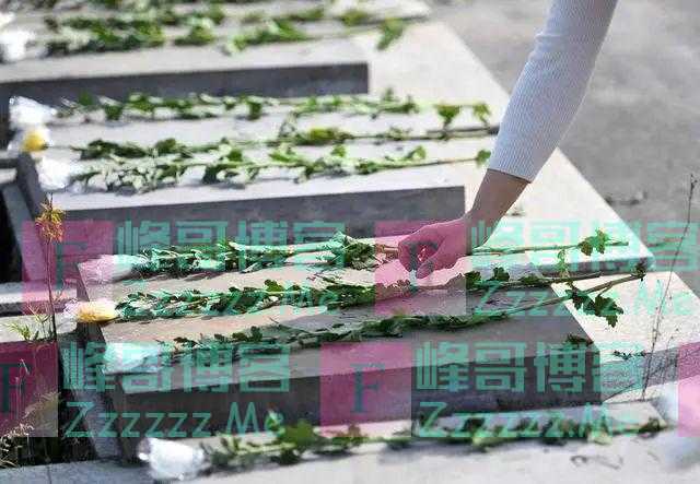 网传 “闰二月清明不宜扫墓”？多数人仍正常扫墓，专家这样说