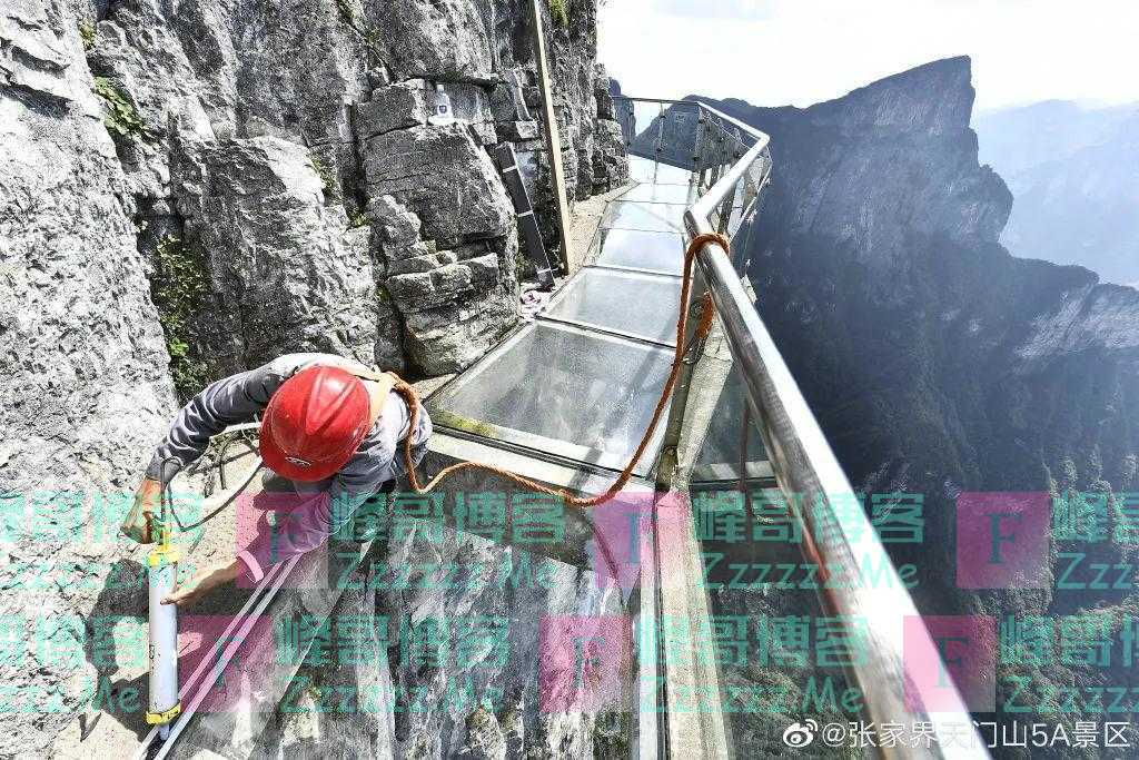 “张家界多人跳崖”事件更多信息披露！家属发声，当地回应