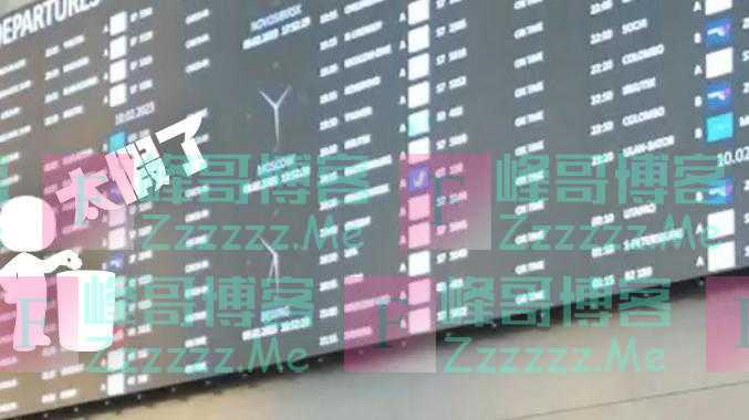 明查|俄罗斯各大机场全面取消英文?只用中文和俄语?太假了