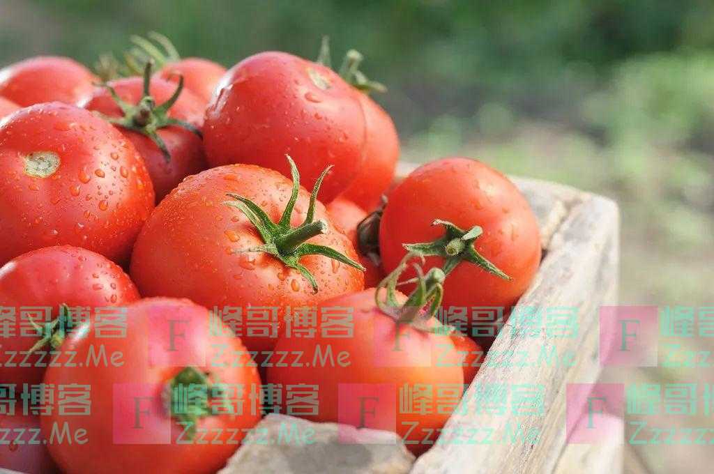 经常吃西红柿,容易痛风?西红柿竟是“防晒果”?一文说清!