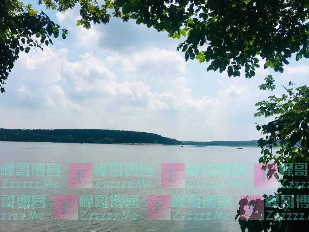 饭后散步未必健康 这些饭后坏习惯别踩坑