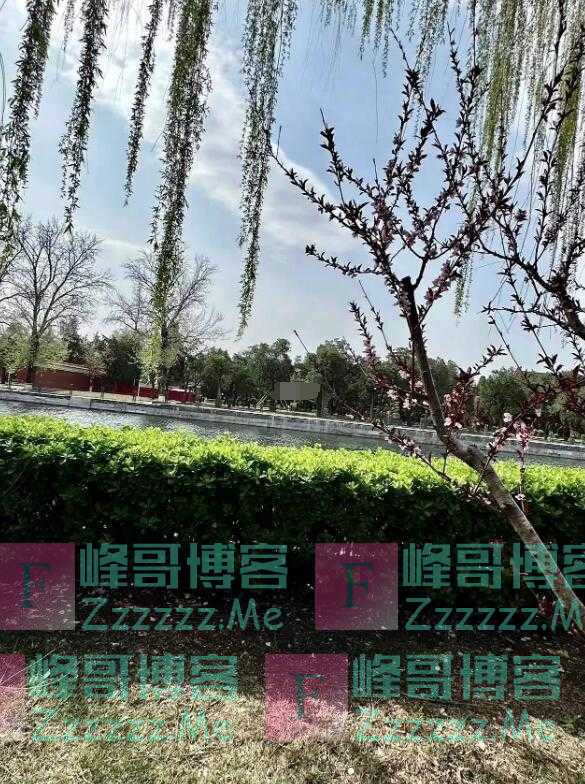 郭晶晶带孩子们逛故宫爬长城:最美人间四月天