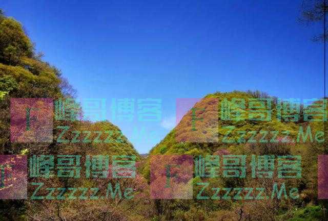 沙尘暴侵袭全国多省市,网友纷纷感谢秦岭