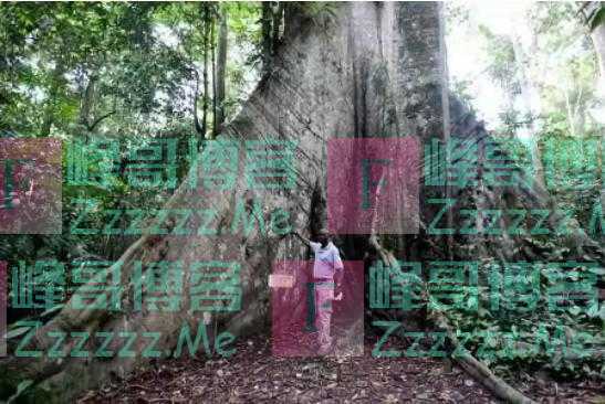 今年首位非洲领导人来访 他与浙江还有这样一段缘分