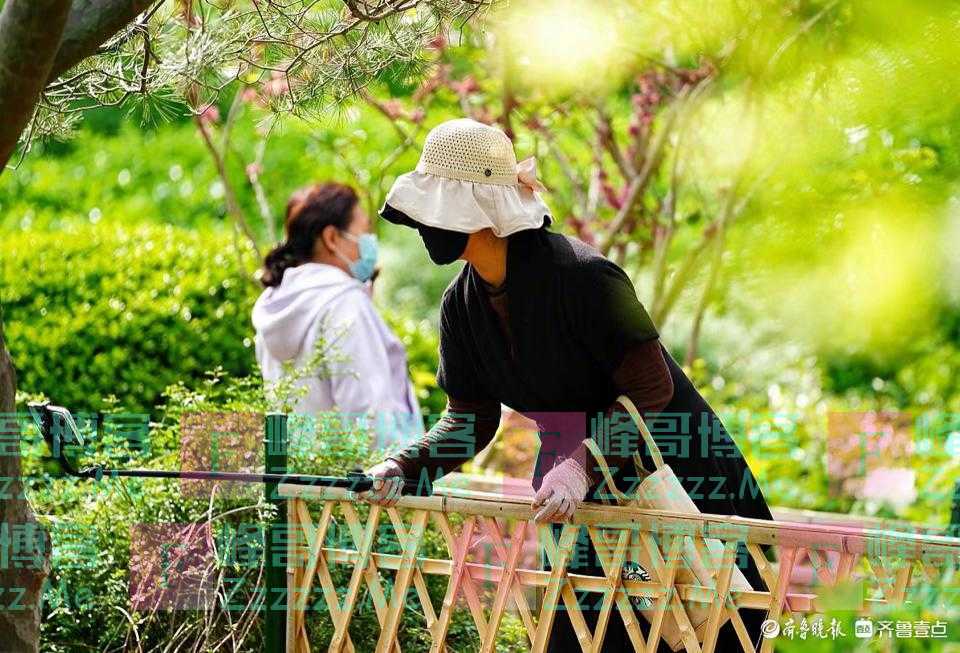 百花公园的牡丹园内，拍花者在找角度