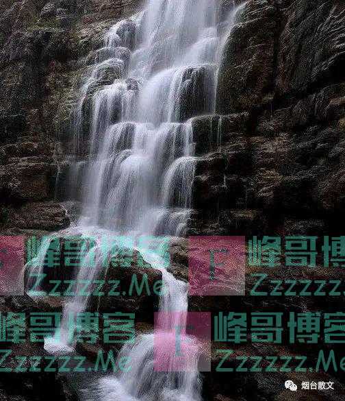 张凤英｜五月槐花香满城