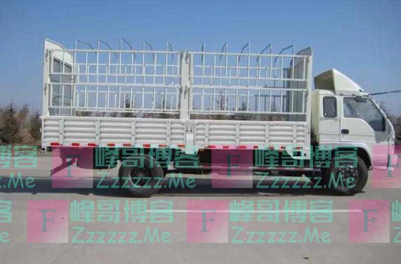 C1证驾驶人可以笑了！持有C1驾驶证，这四种车不用增驾也能随便开