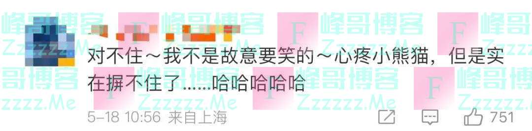 “谁能管管上海动物园这两只天鹅？”网友：心疼，但好笑