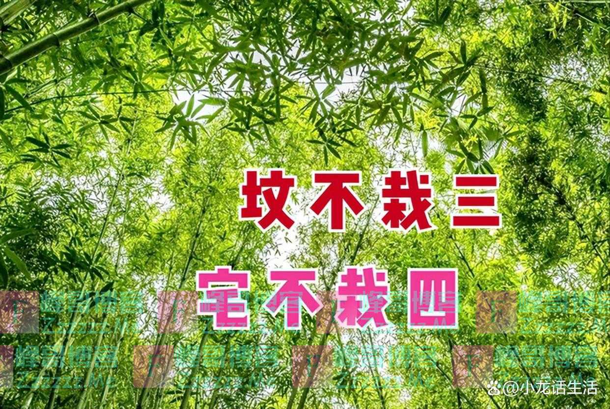 俗语：“坟不栽二，宅不栽三”，指什么？家里种树的人要多注意