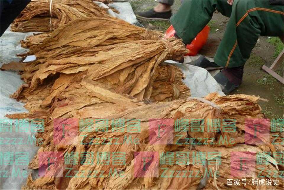 中国长寿之王龚来发,终身未娶活到133岁,却有一个不良爱好