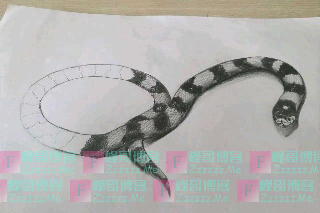 为什么说打蛇时,要么不打,要打就打死?