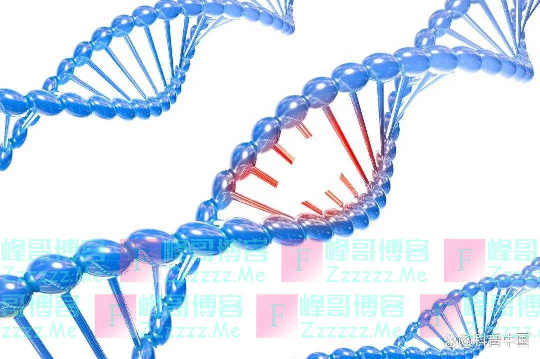 快醒醒!“人是猴子变的”,是错的!