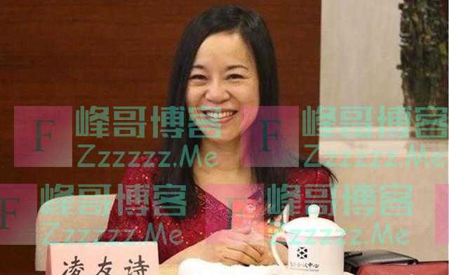 台陆委会扬言“开罚”50万 台籍全国人大代表凌友诗回应