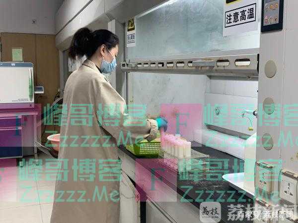 虾头、鱼头、鸡头、鸭头到底能不能吃?这个实验告诉你答案