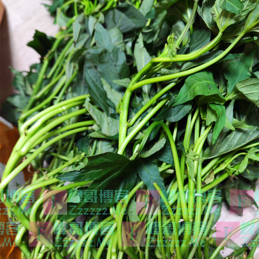 一通便，二护眼，三控血压，可惜被很多人嫌弃，建议中老年要常吃