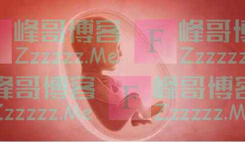出生月份能决定智商？现在知道还不晚