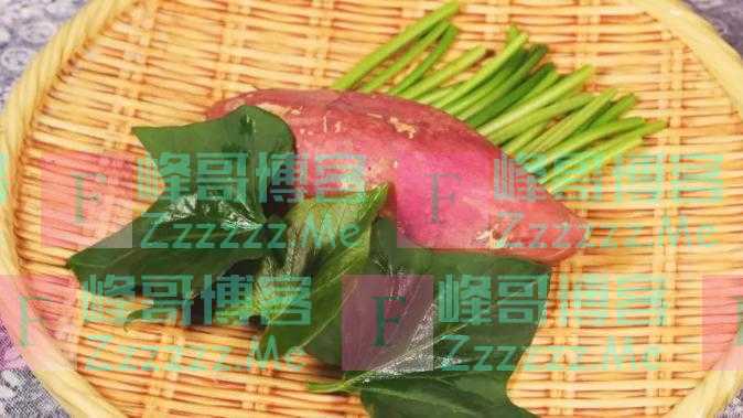 “长寿菜”就在我们身边！防便秘、补脾胃，控三高！8月吃最鲜嫩