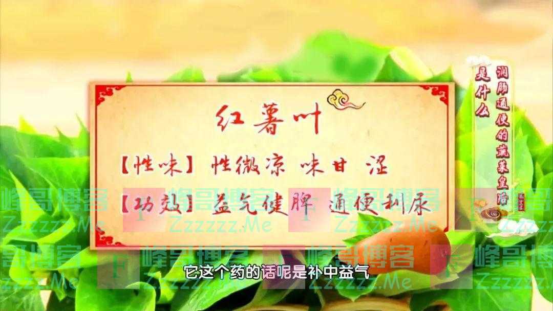 “长寿菜”就在我们身边！防便秘、补脾胃，控三高！8月吃最鲜嫩