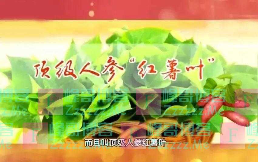 “长寿菜”就在我们身边！防便秘、补脾胃，控三高！8月吃最鲜嫩