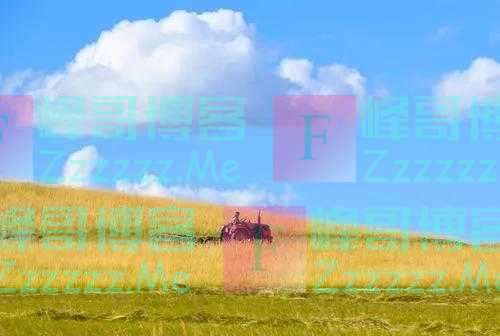 一个人靠不靠谱,有六种表现
