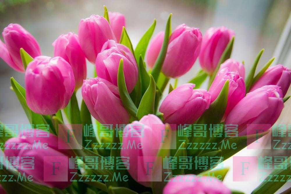 一个家庭突然冒出这几件喜事,往往是走向衰败的征兆,要警惕