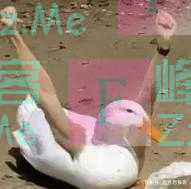 迪卡侬，真是个“奇葩”