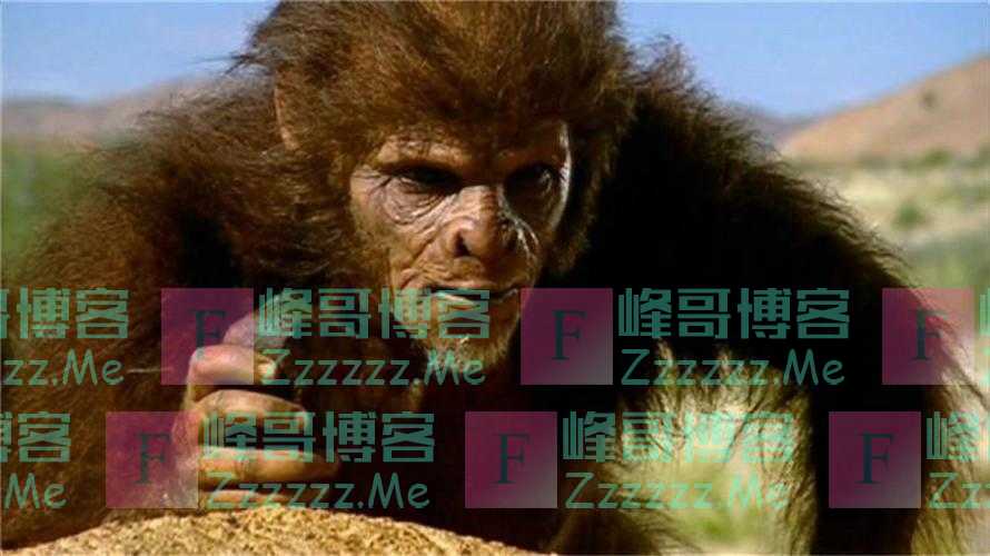 1957年浙江村民打死一只“野人”，村民将其吃掉，手脚被制成标本