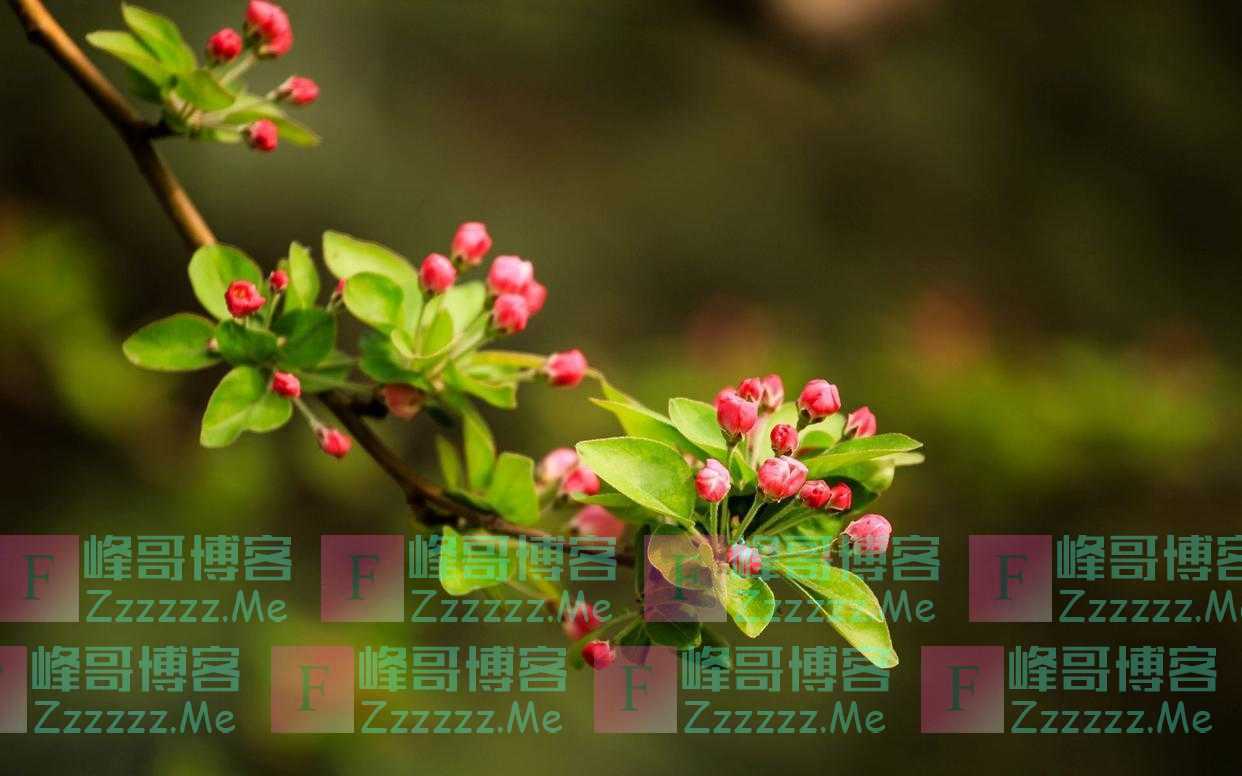 吃饭时有这三个习惯的人,多半面善心黑,我劝你最好远离