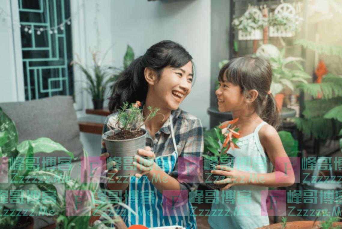 兄弟姐妹中，排行第几的孩子最有出息？答案很统一，你家是这样吗