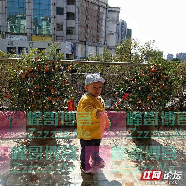 最美阳台丨买低层人太傻？我家这个阳台，怕是要颠覆你的买房观！