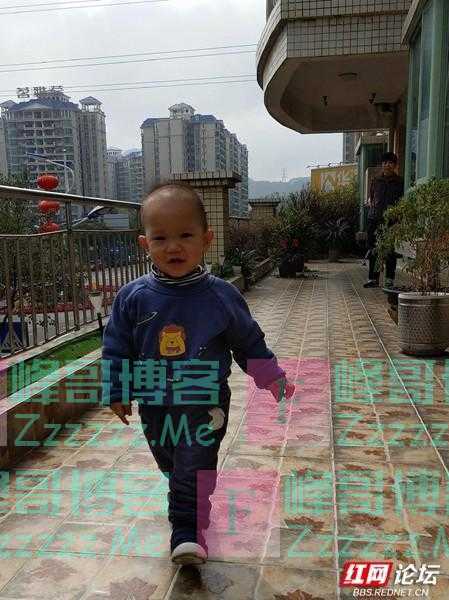 最美阳台丨买低层人太傻？我家这个阳台，怕是要颠覆你的买房观！