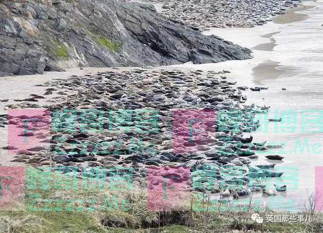 老人独守三座荒岛13年,每年工作6个月。想找人接班,网友:哪报名