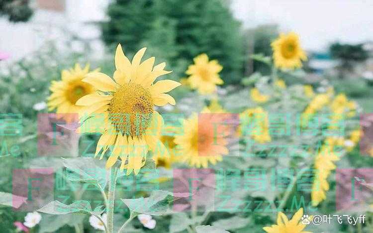 女人喊你以下三种称呼，说白了就是等你来“泡”，别不懂