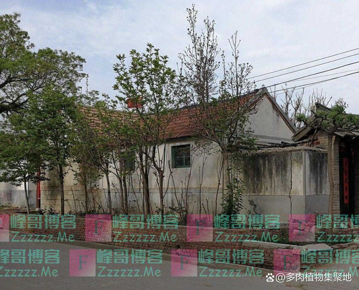 “2种旧东西,再穷也不留”,家里若是有,赶紧清理出去,别忘了