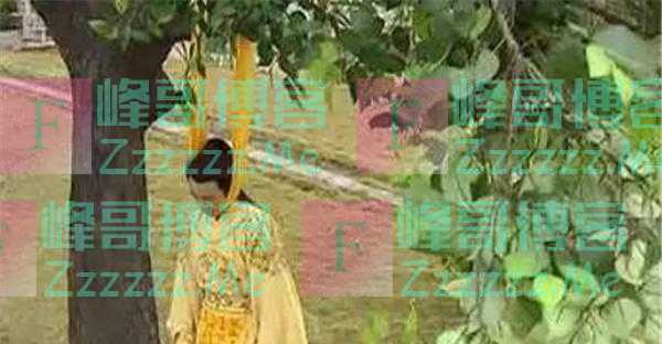 明朝共传16帝，将他们名字连在一起看，会发现一个很有意思的现象