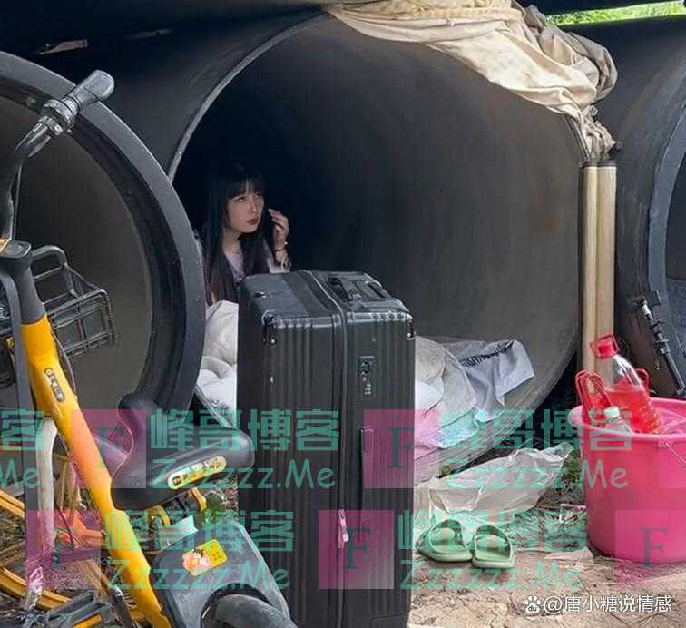 东莞流浪女又添新成员，男生对她特别照顾：很漂亮，不懂为何流浪