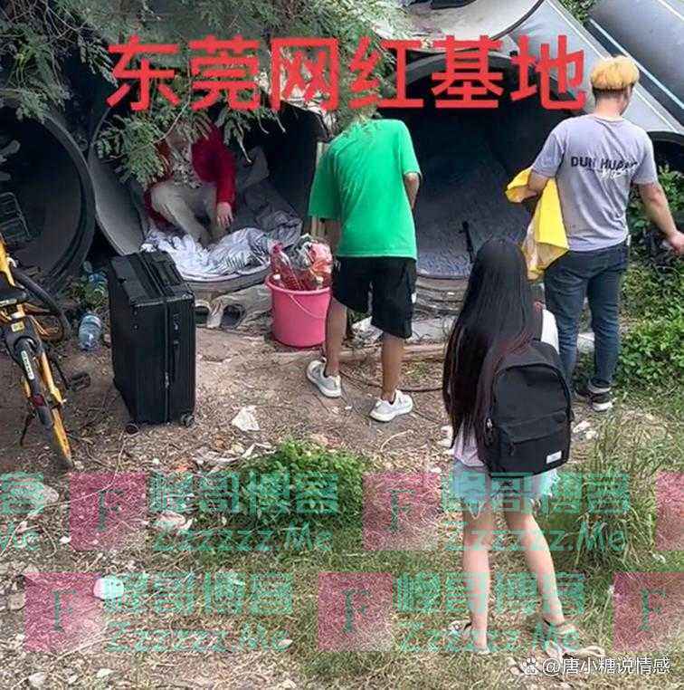 东莞流浪女又添新成员，男生对她特别照顾：很漂亮，不懂为何流浪