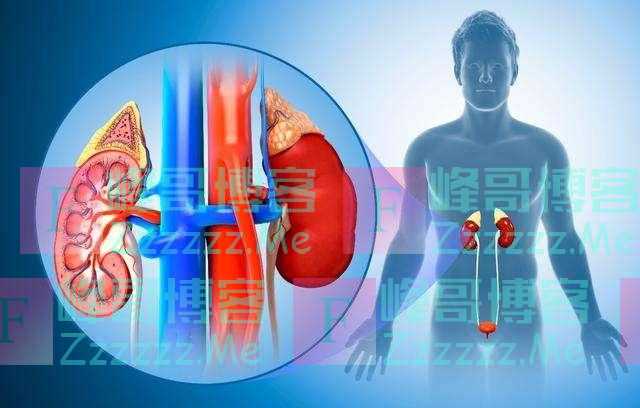 为啥尿毒症越来越多？提醒：与烟酒无关，多数是这4件事做多了