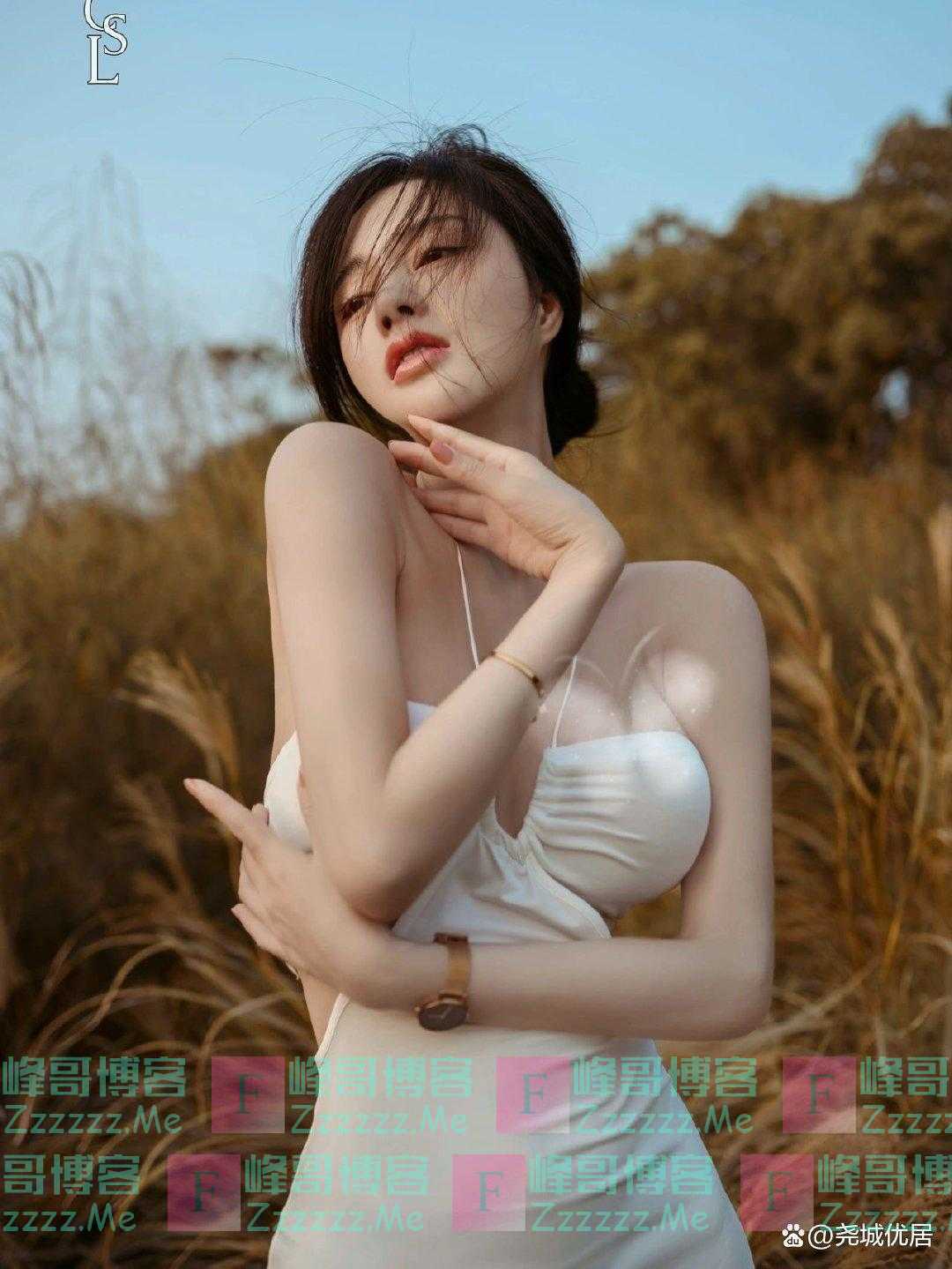 野外秋季芦苇荡写真照