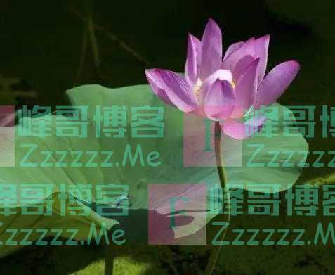 人到晚年,如果老伴先走了,请主动依靠这三个人